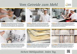 Vom Getreide zum Mehl Teil 2